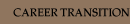 career transition